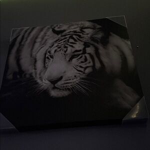 Monochrome Tiger Canvas Art